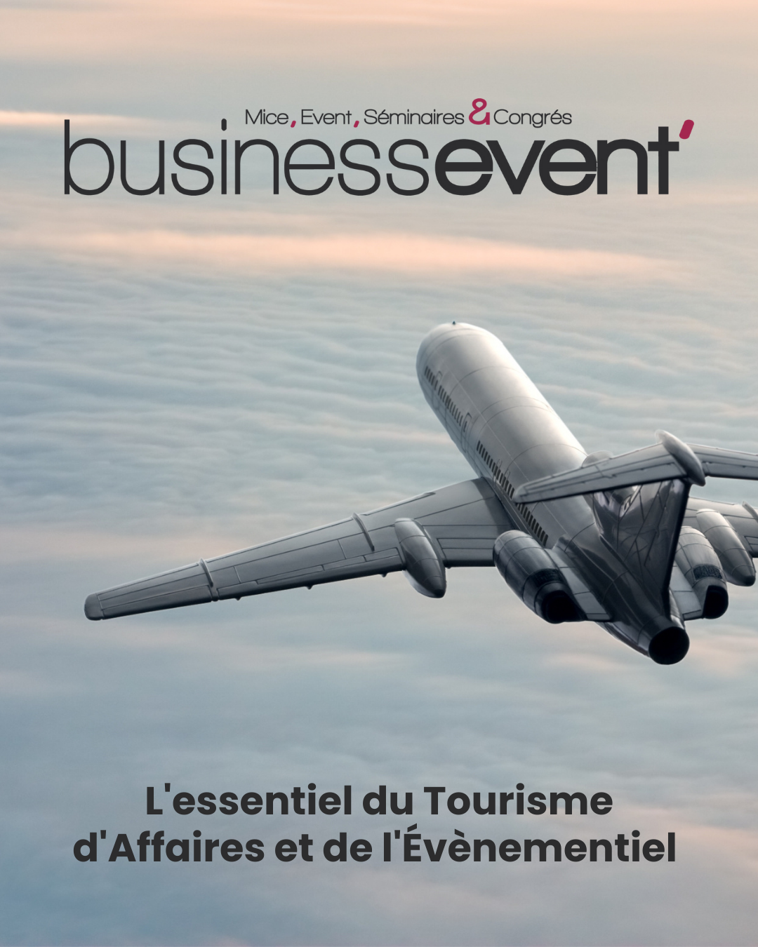 Abonnement Business Event