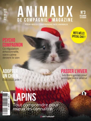 ANIMAUX-DE-COMPAGNIE_3-1_page-0001 Animaux - N°003