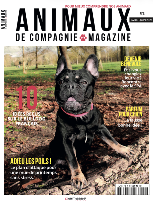 Animaux - N°004