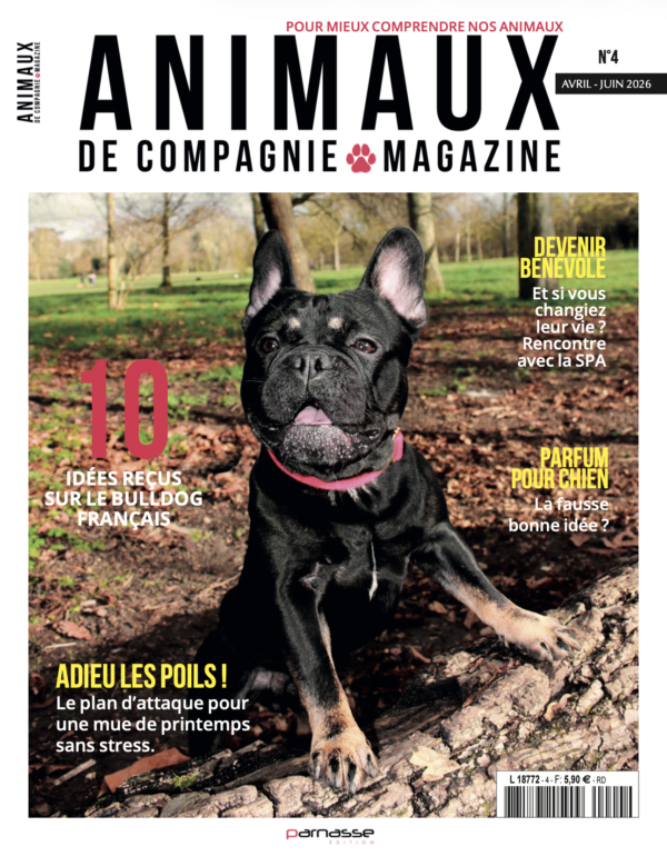 Capture d’écran 2026-07-08 à 14.34.23 Animaux - N°004