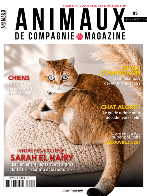Animaux - N°005