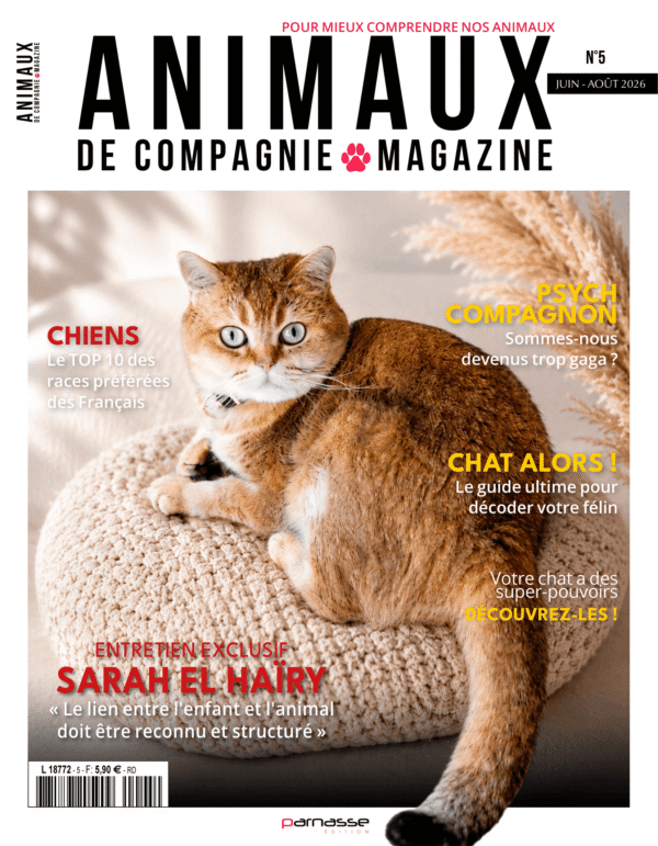 Animaux - N°005