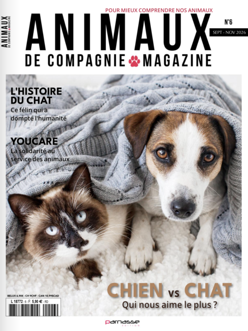 Capture d’écran 2026-09-01 à 17.27.29 Animaux - N°006
